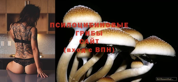 винт Аркадак