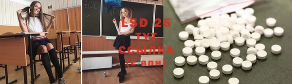 винт Аркадак