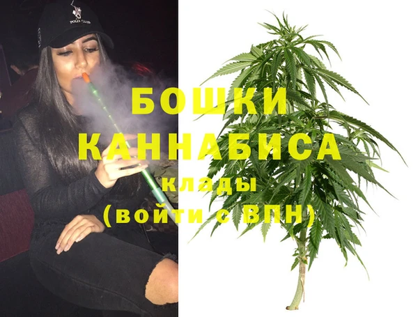 винт Аркадак